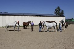 2012.08.12 Horsemanship-Lehrgang mit Tanja Peters